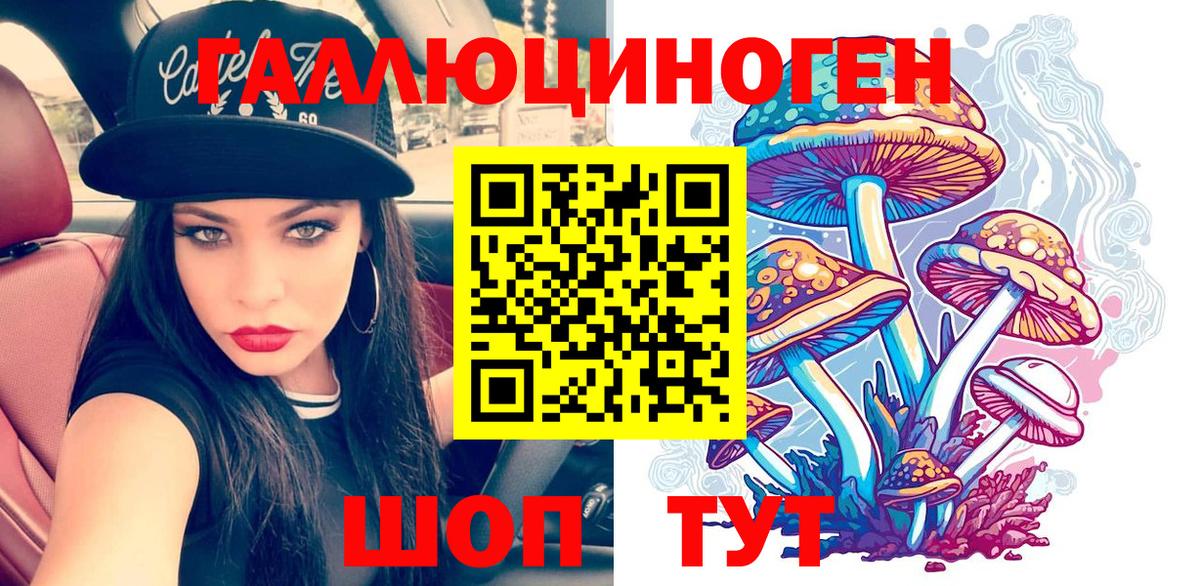 купить наркотик  Вход с VPN  Ялуторовск  Псилоцибиновые грибы Magic Shrooms  Псилоцибиновые грибы Psilocybe 