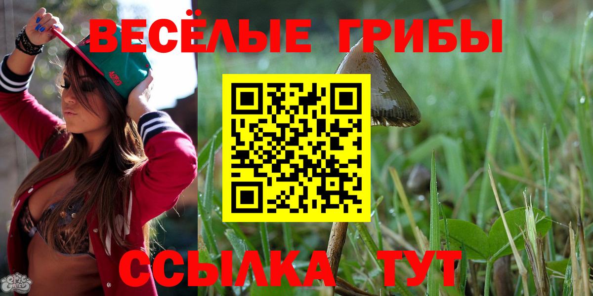 Псилоцибиновые грибы Cubensis Ялуторовск